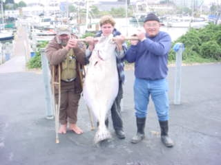 Birdchaser 103# Halibut